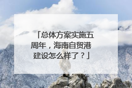 总体方案实施五周年，海南自贸港建设怎么样了？